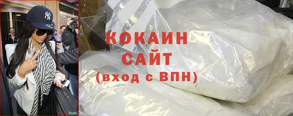 прущий лед Алзамай
