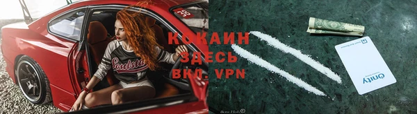 крисы Алексин