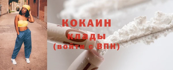прущий лед Алзамай