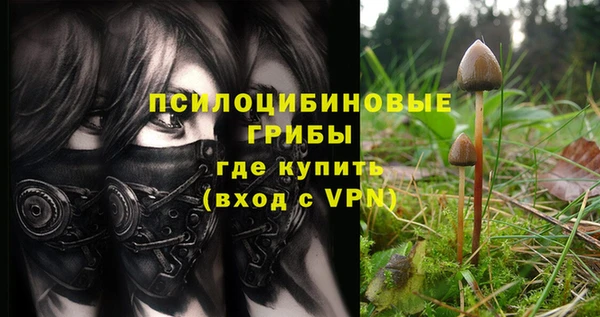 ешки Алексеевка