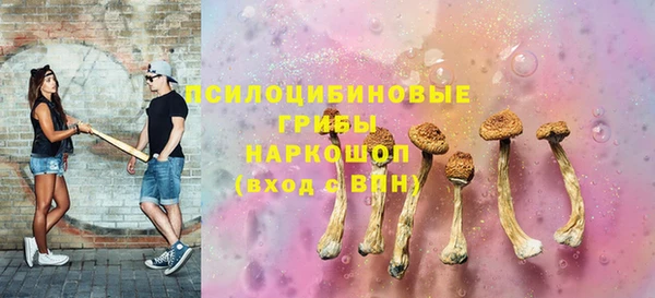 крисы Алексин