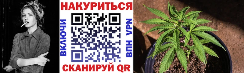 блэк спрут как зайти  где купить наркоту  Снежногорск  Бошки марихуана семена 